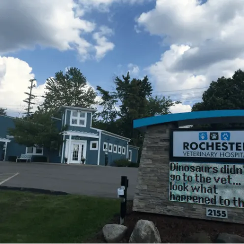 The front of the Rochester Veterinary Hospital and their front sign